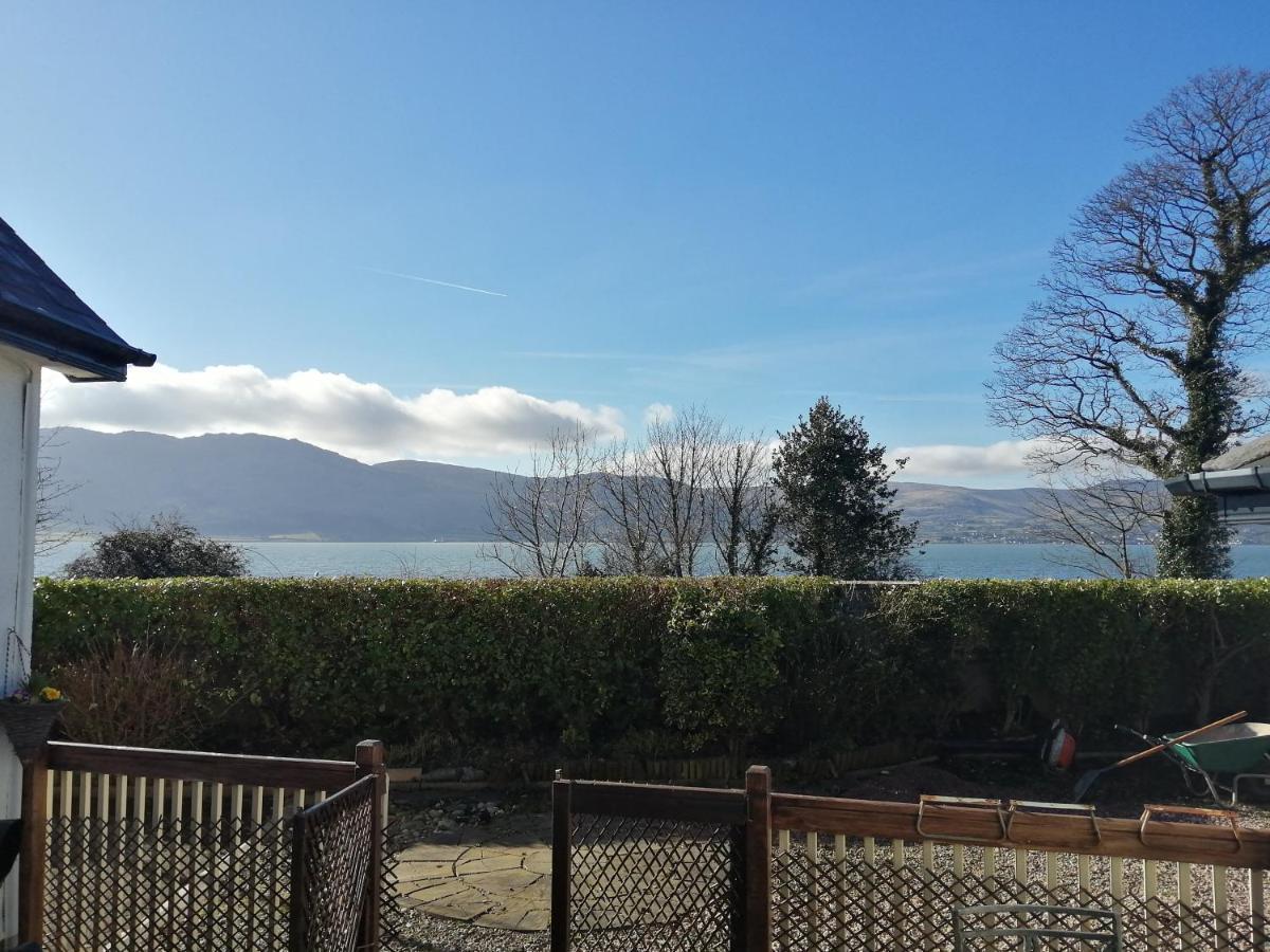 The Oystercatcher Bed & Breakfast Rostrevor Luaran gambar